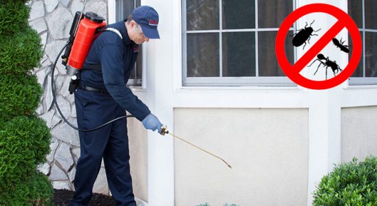 Kemeraltı Dezenfeksiyon böcek ilaçlama ve haşere kontrolü — ilaclama-tr.com